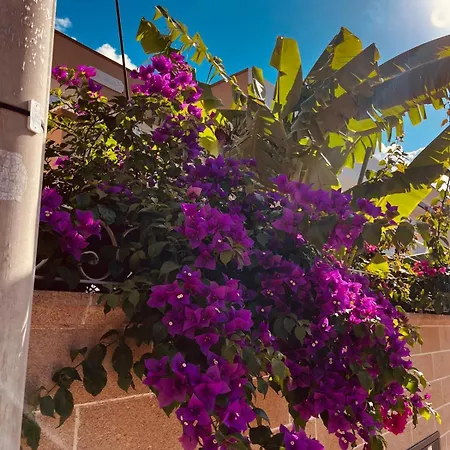 Сasa de vacaciones Garden