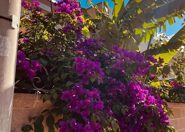 Сasa de vacaciones Garden