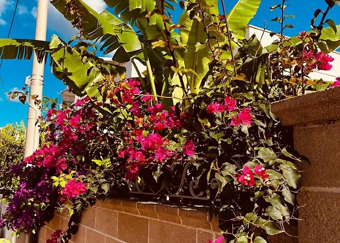 Сasa de vacaciones Garden